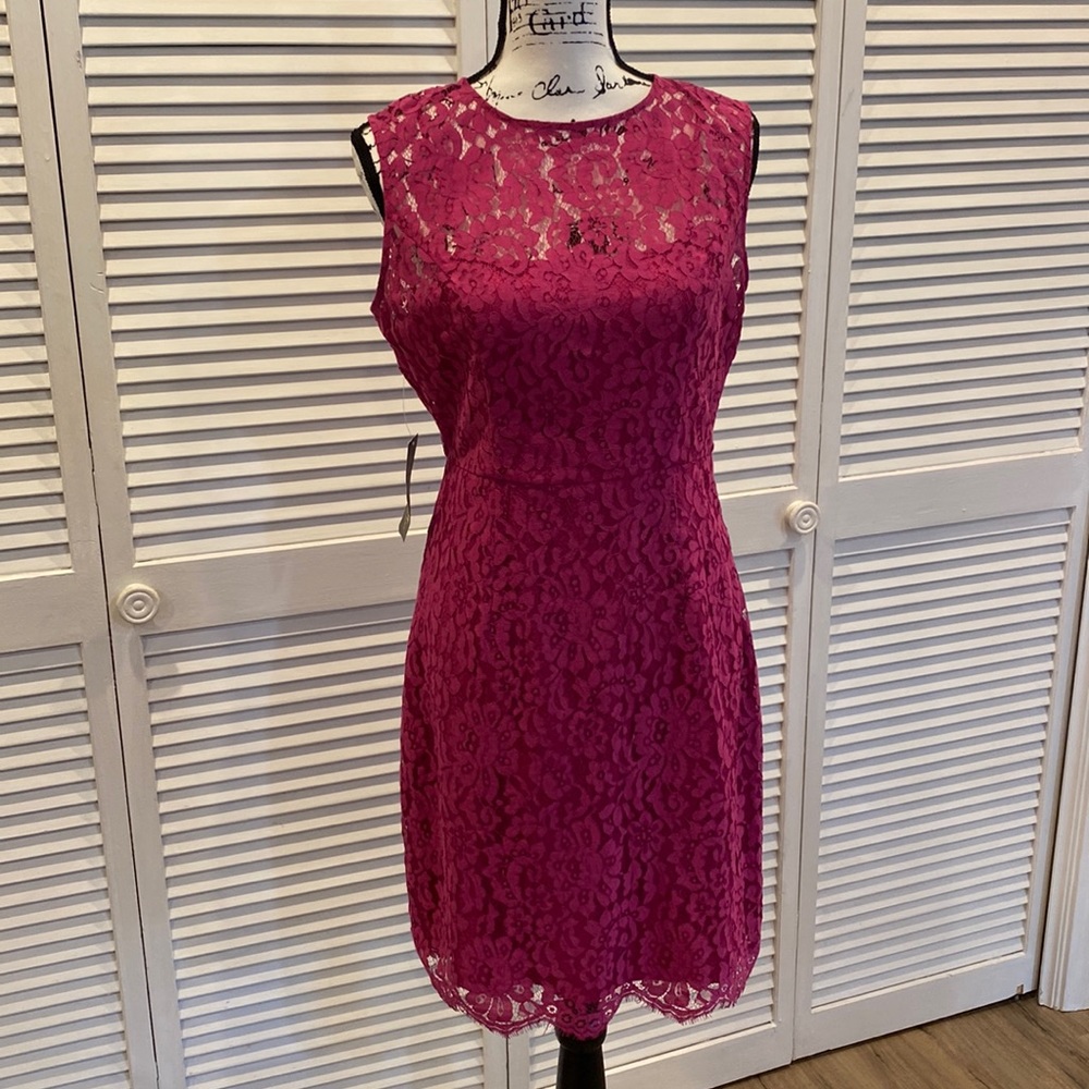 Eva Mendes New York & Company dress, size 4
